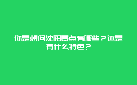 你是想问沈阳景点有哪些？还是有什么特色？