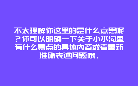 不太理解你这里的是什么意思呢？你可以明确一下关于小水沟里有什么景点的具体内容或者重新准确表述问题哦。