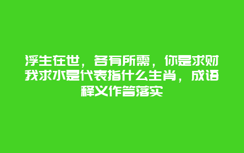 浮生在世，各有所需，你是求财我求水是代表指什么生肖，成语释义作答落实