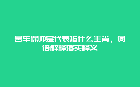 舍车保帅是代表指什么生肖，词语解释落实释义
