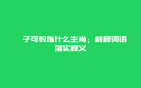 孺子可教指什么生肖；解释词语落实释义