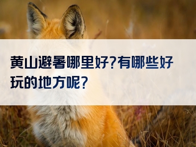 黄山避暑哪里好？有哪些好玩的地方呢？