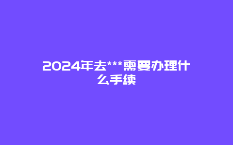 2024年去***需要办理什么手续