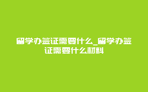 留学办签证需要什么_留学办签证需要什么材料