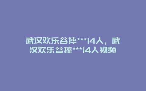 武汉欢乐谷摔***14人，武汉欢乐谷摔***14人视频