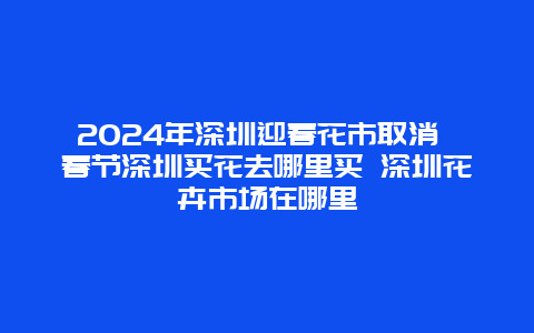 2024年深圳迎春花市取消 春节深圳买花去哪里买 深圳花卉市场在哪里