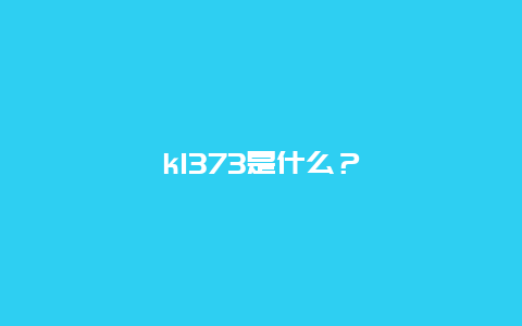 k1373是什么？