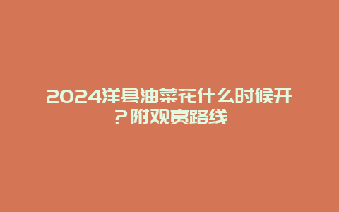 2024洋县油菜花什么时候开？附观赏路线