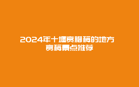 2024年十堰赏腊梅的地方 赏梅景点推荐