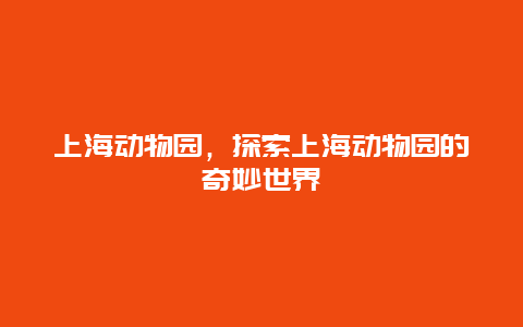 上海动物园，探索上海动物园的奇妙世界