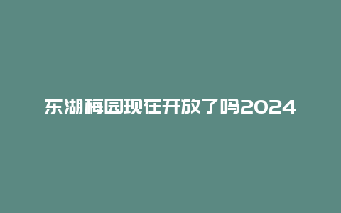 东湖梅园现在开放了吗2024