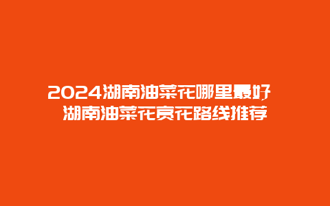 2024湖南油菜花哪里最好 湖南油菜花赏花路线推荐