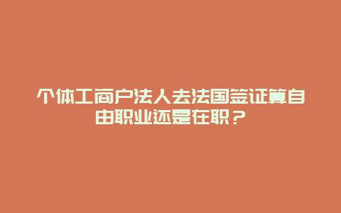 个体工商户法人去法国签证算自由职业还是在职？