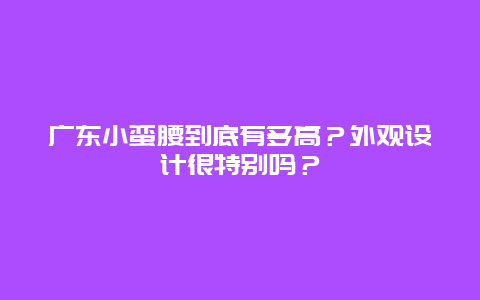 广东小蛮腰到底有多高？外观设计很特别吗？
