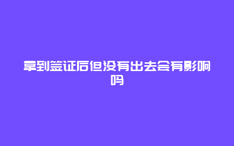 拿到签证后但没有出去会有影响吗
