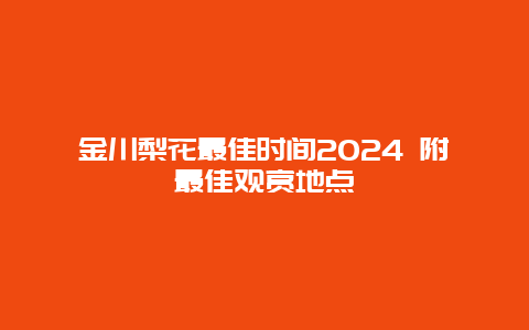 金川梨花最佳时间2024 附最佳观赏地点
