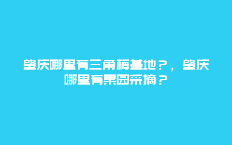 肇庆哪里有三角梅基地？，肇庆哪里有果园采摘？