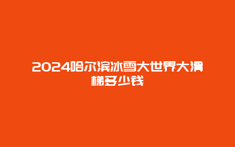 2024哈尔滨冰雪大世界大滑梯多少钱