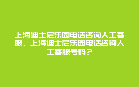 上海迪士尼乐园电话咨询人工客服，上海迪士尼乐园电话咨询人工客服号码？