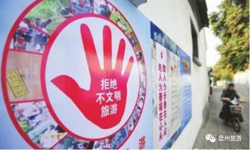 旅游要带的必需品清单