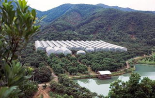 五一 假期乡村游近郊游成主流