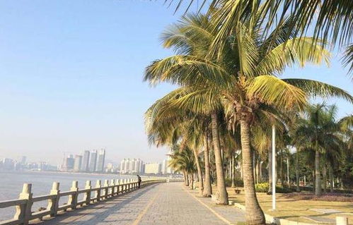 珠海旅游必去的景点图片