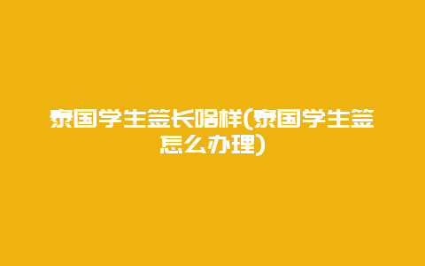 泰国学生签长啥样(泰国学生签怎么办理)