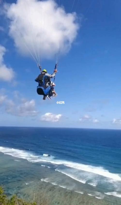 我在巴厘岛难忘的经历，我在巴厘岛的亲身体验日？