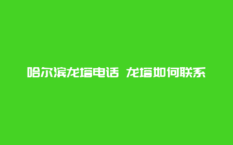 哈尔滨龙塔电话 龙塔如何联系