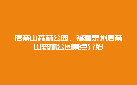 唐寨山森林公园，福建泉州唐寨山森林公园景点介绍