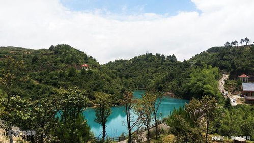 云旅游的接待方式