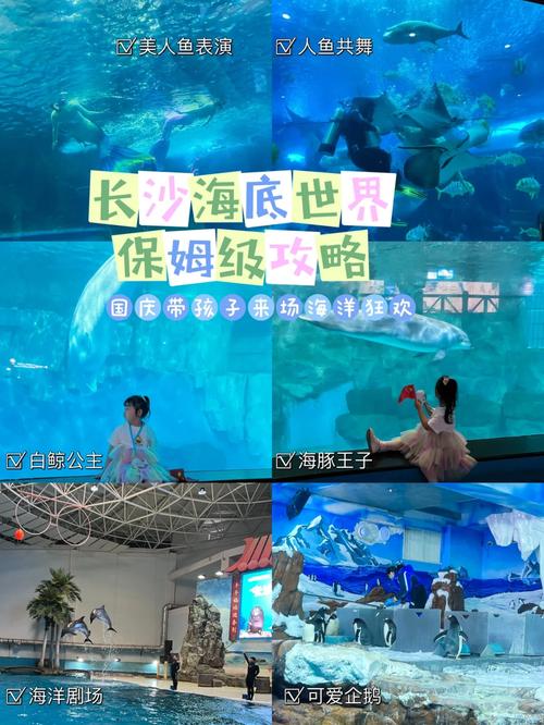 长沙海底世界现在开放吗，现在长沙海底世界的门票费用？