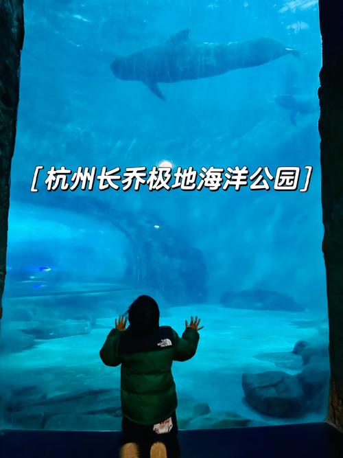 杭州长乔极地海洋公园票价，杭州长乔极地海洋公园分时预约