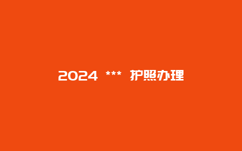 2024 *** 护照办理