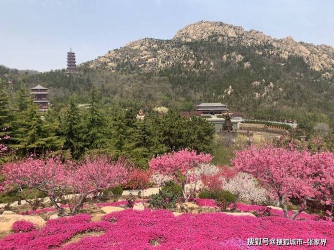 山东自驾游景点大全？山东自驾旅游景点大全？