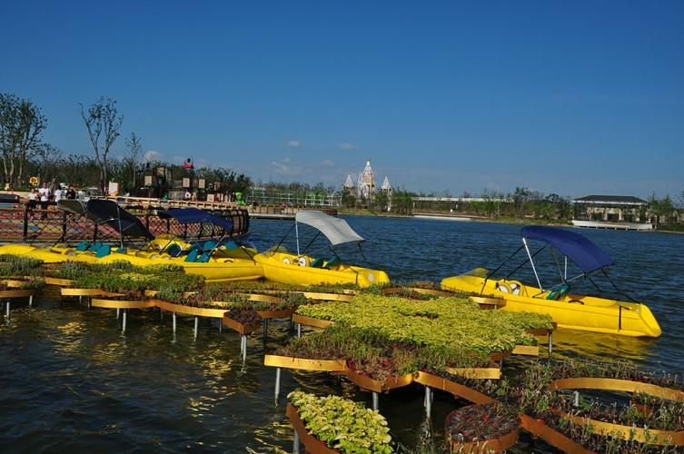 浦江郊野公园项目工作汇报策略