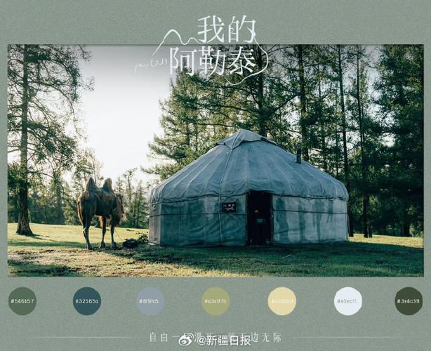 阿勒泰端午假期的隐秘天堂，旅游新宠的崛起