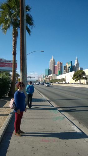 美国几月份旅游好