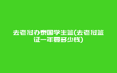 去老挝办泰国学生签(去老挝签证一年要多少钱)