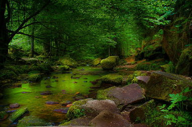 各类自然景观和人文景观不计其数，带你领略自然风光~