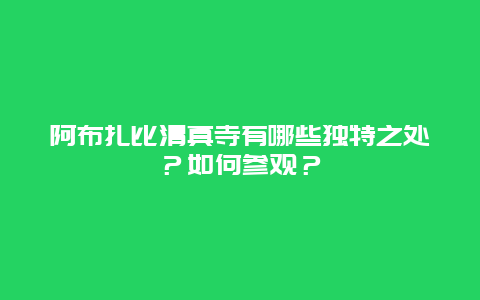 阿布扎比清真寺有哪些独特之处？如何参观？