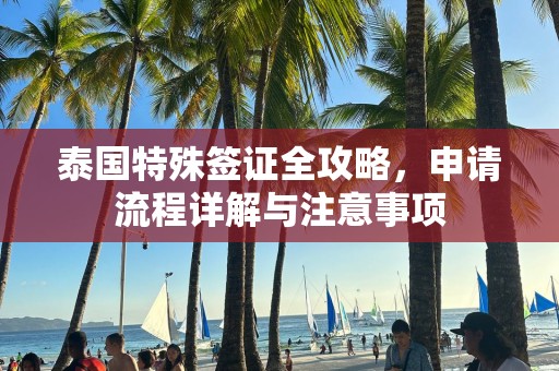 泰国特殊签证全攻略，申请流程详解与注意事项