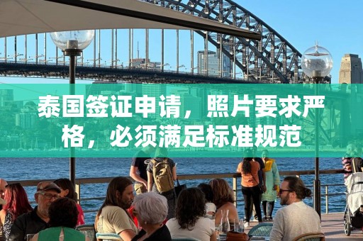 泰国签证申请，照片要求严格，必须满足标准规范