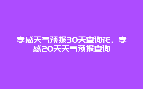 孝感天气预报30天查询花，孝感20天天气预报查询