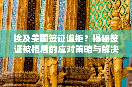 埃及美国签证遭拒？揭秘签证被拒后的应对策略与解决方案