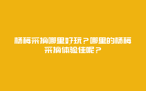 杨梅采摘哪里好玩？哪里的杨梅采摘体验佳呢？