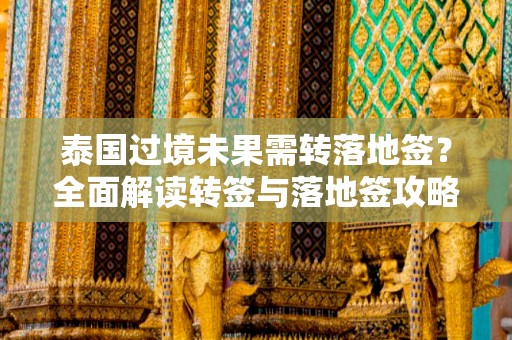 泰国过境未果需转落地签？全面解读转签与落地签攻略
