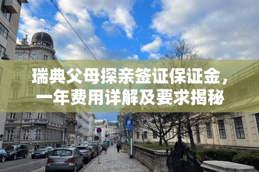 瑞典父母探亲签证保证金，一年费用详解及要求揭秘