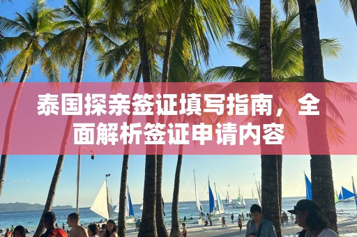 泰国探亲签证填写指南，全面解析签证申请内容