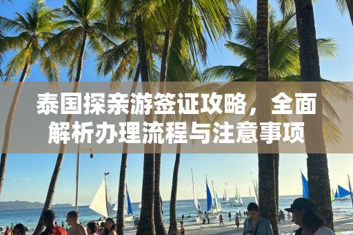 泰国探亲游签证攻略，全面解析办理流程与注意事项